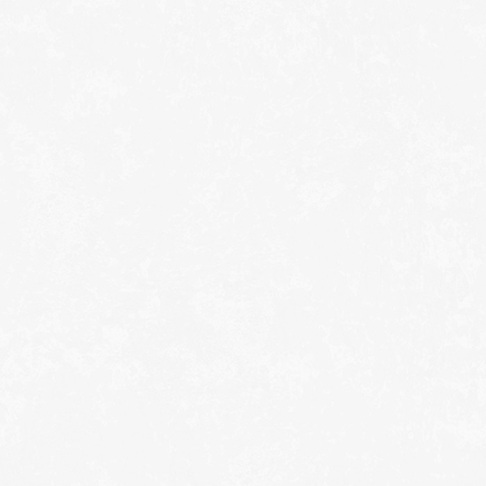 Our Boats New Orleans Pedal Barge