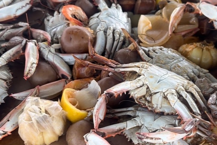 a crab on a table